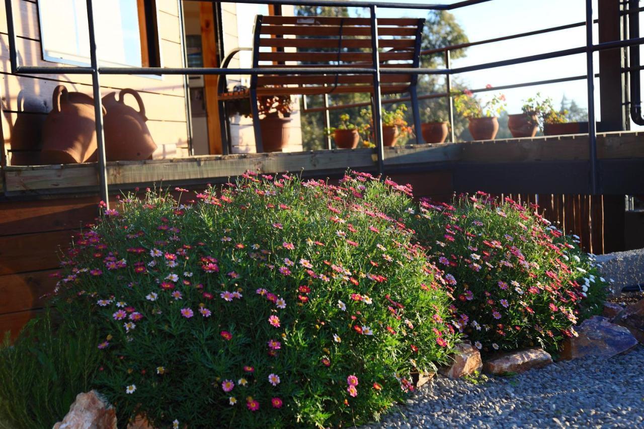 Cabanas Y Spa Costa Patagonia - Piscina Climatizada Pichilemu Exterior foto